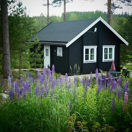 Froeya Timber Cottage アルビカ エクステリア 写真