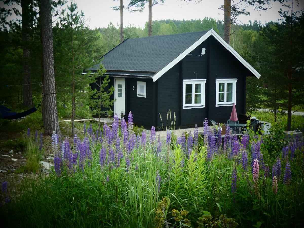 Froeya Timber Cottage アルビカ エクステリア 写真