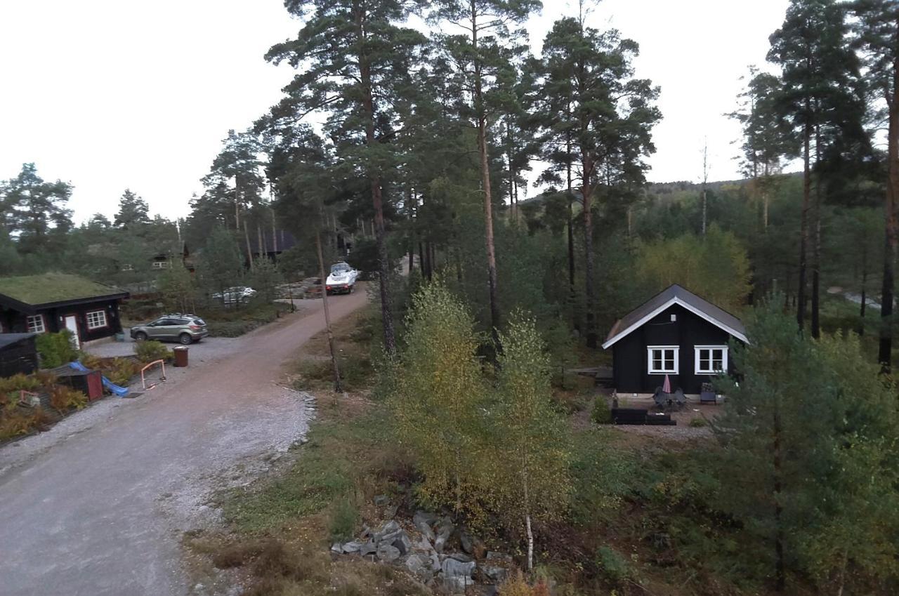 Froeya Timber Cottage アルビカ エクステリア 写真